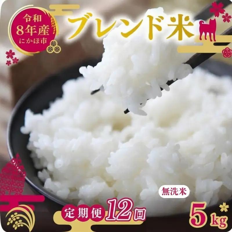 【先行予約 定期便12か月】無洗米 ブレンド米 10kg  令和8年度産 無洗米