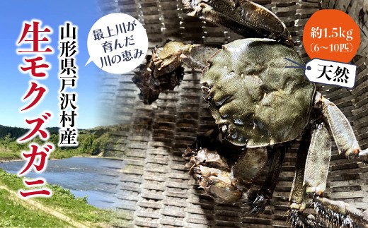 山形県戸沢村産　生モクズガニ　約1.5kg（6～10匹）