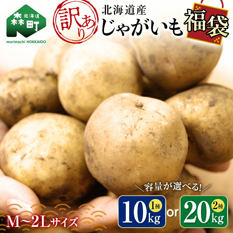 【ふるさと納税】【先行予約】 ＜容量が選べる＞【訳あり】北海道森町産 じゃがいも福袋 10kg or 20kg （2025年8月上旬～12月中旬までに順次お届け） 野菜 ジャガイモ きたあかり だんしゃく 男爵 とうや メークイン ポテト 北海道 セット 詰め合わせ 7500円 mr1-0508