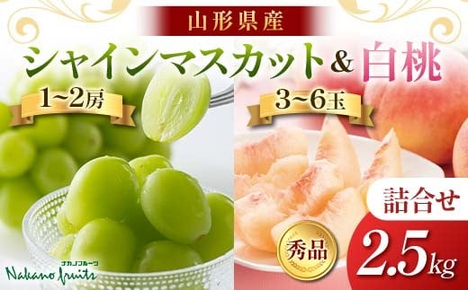 ≪2026年先行予約≫【仲野観光果樹園】贈答用 山形県産 シャインマスカット 白桃 2種詰合せ 2.5kg 秀品 種無し ぶどう 2026年9月中旬から順次発送 F2Y-6138