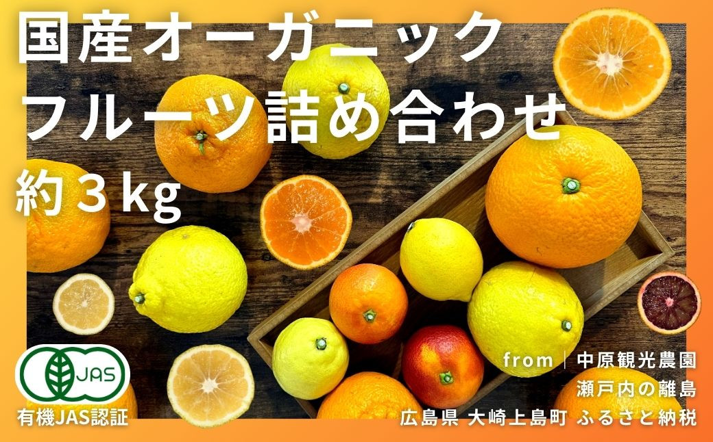 【3月限定】瀬戸内の春 国産オーガニックフルーツ5種詰め合わせ 約3kg [有機JAS認証]