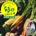 【ふるさと納税】 野菜 定期便 全4回 野菜詰め合わせ セット 8～10種 中里自然農園 旬のお野菜便 野菜セット 野菜の詰め合わせ 高知 新鮮 農薬不使用 化学肥料不使用 安心 旬 フレッシュ