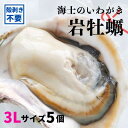 【ふるさと納税】【のし付き いわがき 殻なし 3Lサイズ 5個】海士のいわがき 岩牡蠣 生食可 冷凍 牡蛎 牡蠣 かき カキ 岩牡蠣 いわがき 冷凍 お歳暮 ギフト