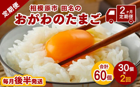 【2ヶ月定期便】【毎月後半発送】相模原市田名のおがわのたまご　ピンク卵 Mサイズ 30個(27個＋割れ補償3個)×2か月 | 卵 鶏卵 玉子 たまご 生卵 国産 濃厚 コク 旨味 旨み