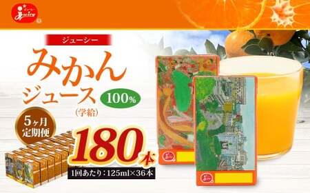 【5回定期便】 ジューシー みかんジュース 100％ （学給） 125ml×36本 みかん ミカン 蜜柑 ジュース オレンジジュース 飲料 紙パック 国産 熊本県