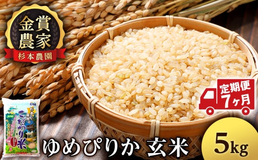 【定期便7回】ゆめぴりか玄米5kg≪杉本農園≫