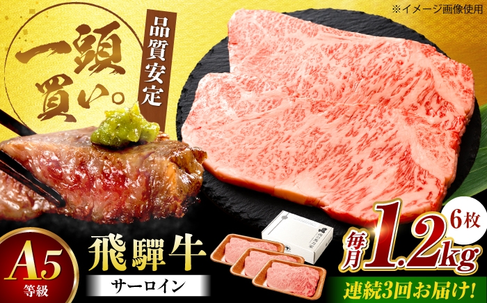 
                  【3回定期便】飛騨牛 サーロイン（ステーキ用）1.2kg（200g×6枚）飛騨牛 国産 肩ロース ロース ステーキ 黒毛和牛 和牛 牛肉 BBQ steak 岐阜県 / 御嵩町 / 馬力家 [AVBO102]
                