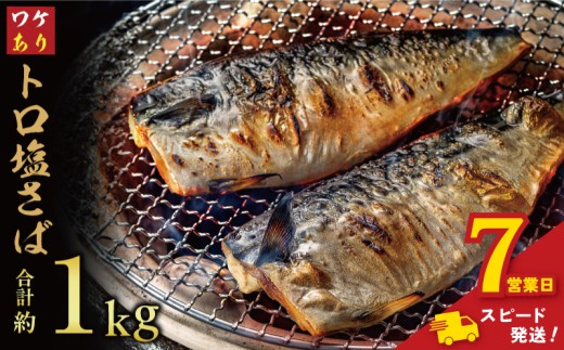 ＼ スピード発送 ／ 訳あり トロ 塩サバ フィレ 約1kg 鯖 さば 訳アリ わけあり 切り身 切身 塩さば 塩鯖 フィレ フィーレ 魚貝 魚介 人気 冷凍 冷凍食品 大容量 海鮮 家庭用 レシピ おかず おつまみ 惣菜 弁当 不揃い 規格外 傷 味噌煮 煮付け 竜田揚げ グルメ 贈答 贈物 ギフト 長期保存 小分け お取り寄せ ふるさと納税 ふるさと納税鯖 送料無料 千葉県 銚子市 飯田商店