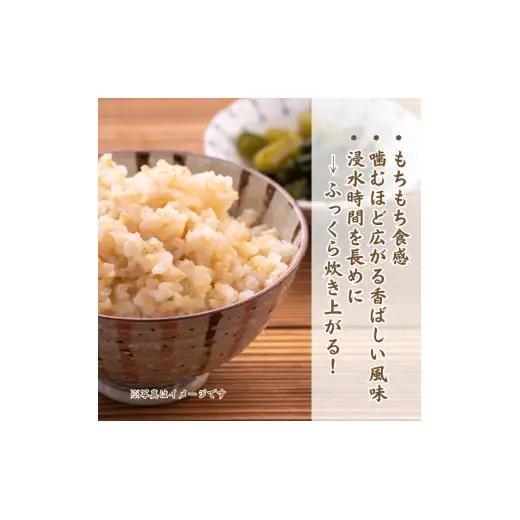 利根町産　コシヒカリ　玄米　10kg ／ 米 こめ コメ お米 おこめ コシヒカリ こしひかり 令和7年産 玄米 ごはん ご飯 10kg 健康志向 茨城県 利根町 産地直送 送料無料