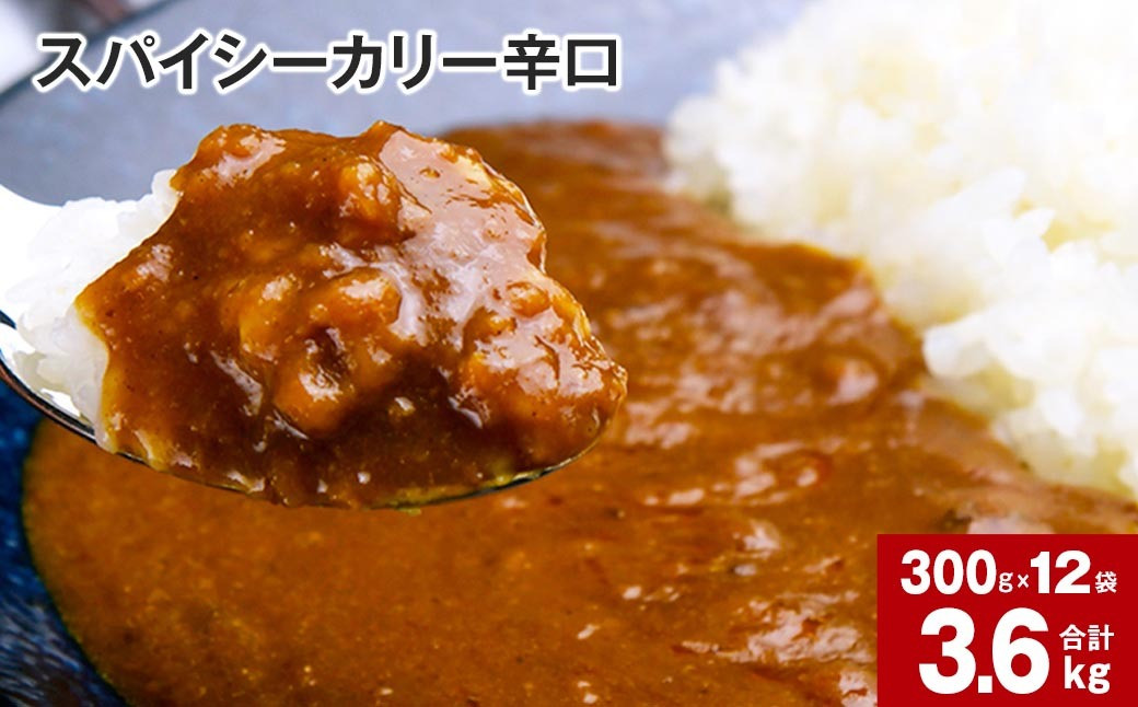 
            スパイシーカリー辛口(レトルト) 300g×12袋
          