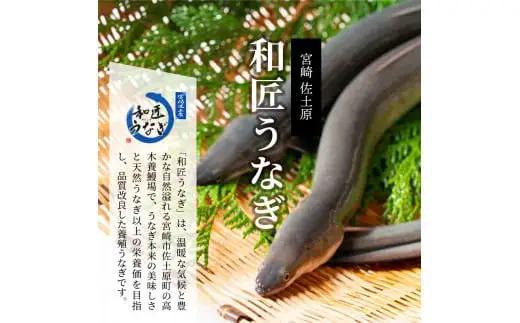 うなぎ うな丼の素 うなぎ[国産 4袋 和匠 備長炭手焼き 400g]