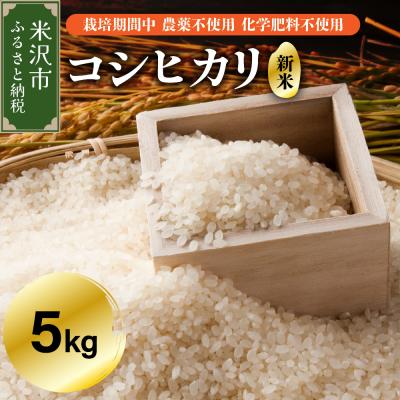 ふるさと納税 米沢市 【令和7年産】 コシヒカリ 5kg 【栽培期間中農薬不使用・化学肥料不使用】