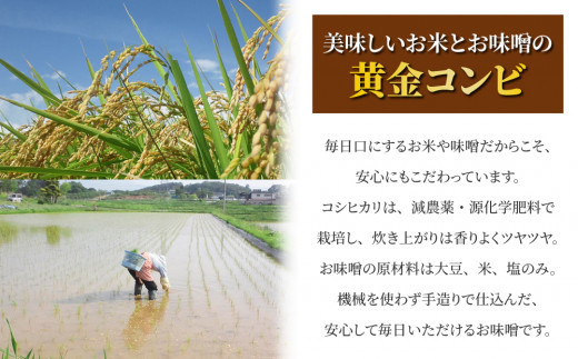 【令和7年産】八重原産コシヒカリ（白米）2kgと信州味噌「八重原味噌」500gのセット｜特別栽培米（減農薬・減化学肥料栽培） 大桂商店【太陽と大地】