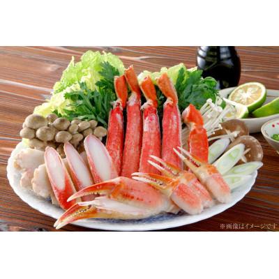 ふるさと納税 島原市 天然ズワイガニ(本ズワイガニ) 600g ハーフポーション(半むき身) |  | 01