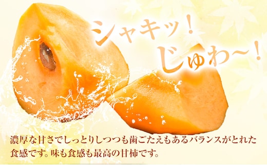 輝太郎柿 3kg 7〜10玉 秀品 先行予約《10月上旬-10月下旬頃出荷》JA鳥取いなば 鳥取県 八頭町 柿 かき カキ くだもの くだもの 果物 青果物 フルーツ