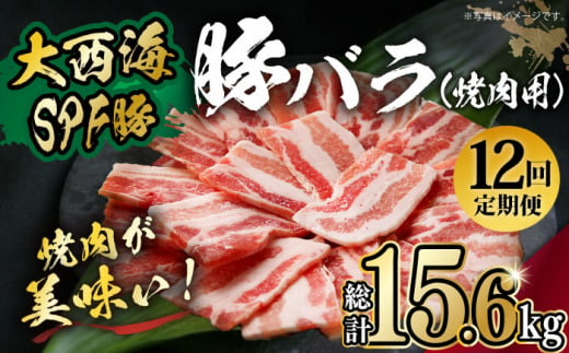 【月1回約1.3kg×12回定期便】大西海SPF豚 バラ（焼肉用）計15.6kg 長崎県/長崎県農協直販 [42ZZAA095]