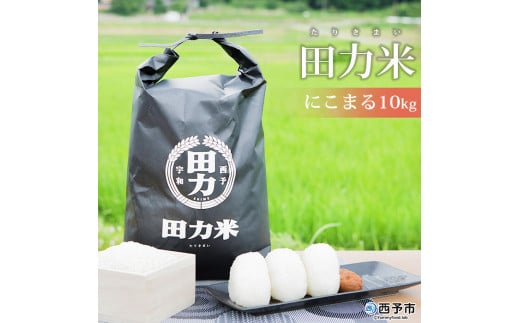 令和7年産 田力米（にこまる）10kg