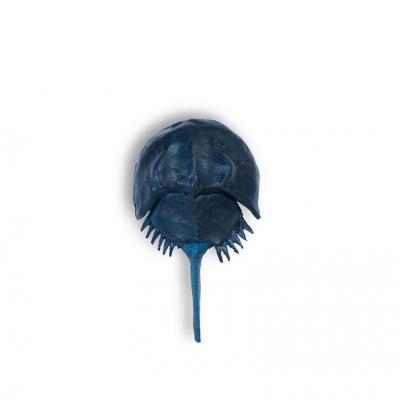 ふるさと納税 笠岡市 革製カブトガニ 幼生 ブローチ 【タックピン:ネイビー】J-14_n