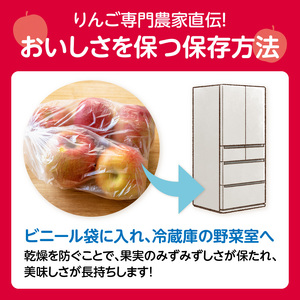 《先行予約》贈答規格「サンふじ」「ラ・フランス」「はるか」約5kg詰合せ（特秀～秀）【2024年12月上旬頃～発送予定】【大江町産・山形りんご・りんご専科 清野哲生】 015-065