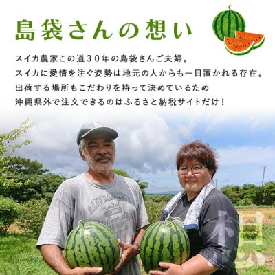 【2025年5月～6月頃の発送】島袋さんの夏スイカ大玉 1玉(5.0～7.0kg)【配送不可地域：離島】