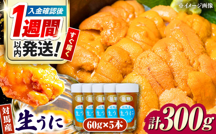 対馬産 生うに 60g×5本《対馬市》【保家商事】 ウニ うに 刺身 海鮮 海産 雲丹 [WAA034]