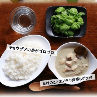 みやざきのグリーンカレー　5個セット