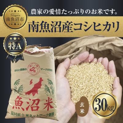 ふるさと納税 南魚沼市 【玄米】 新潟県 南魚沼産 コシヒカリ 30kg (お米の美味しい炊き方ガイド付き)