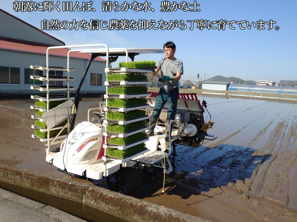 【お米定期便】 【3回】 令和7年度 コシヒカリ 数量限定 各5キロ 米 コメ 減農薬栽培 お米 精米 早場米 新米 ご飯 おにぎり こめ 白米 低化学肥料 高知県 南国市