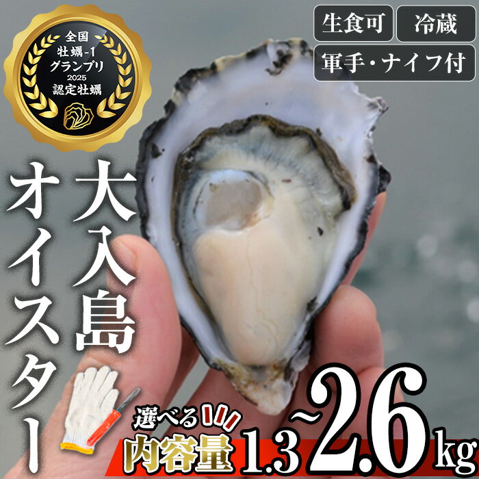 【ふるさと納税】＼牡蠣1グランプリ最高金賞受賞／ 真ガキ 大入島オイスター＜内容量が選べる(約1.3kg・約2.6kg)＞ 牡蠣 かき カキ 貝 海鮮 魚介類 冷蔵 生食可 シングルシード 養殖 殻付き 【ED08・ED09】【(合)新栄丸】
