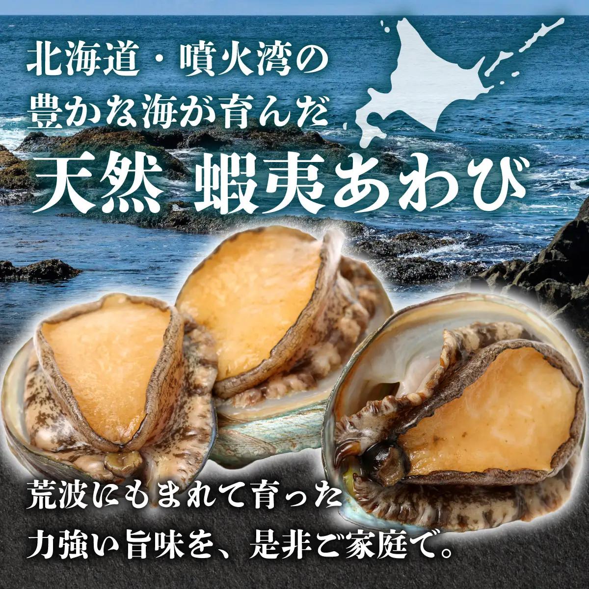 天然 蝦夷あわび 計500g 【mh-0908】