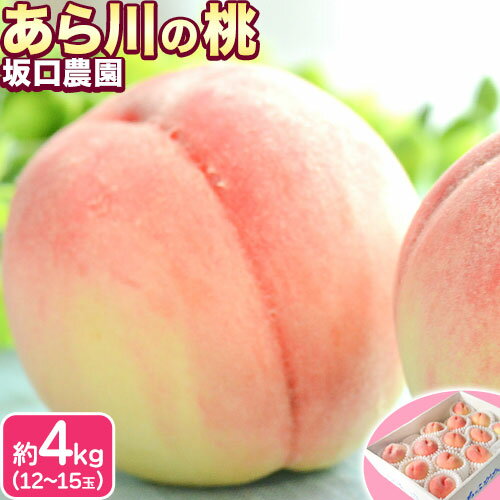 【ふるさと納税】あら川の桃 秀品 約4kg(12~15玉) 坂口農園【先行予約】《2025年6月下旬-8月下旬頃出荷》 和歌山県 紀の川市 桃 もも モモ 白鳳 日川白鳳 紀の里白鳳 清水白桃 川中島白桃 なつっこ 月あかり 黄金桃 あら川の桃 送料無料