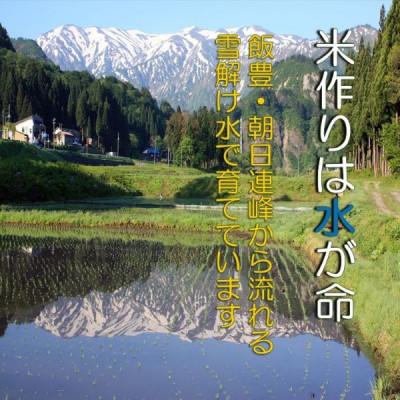 ふるさと納税 小国町 【令和7年新米先行予約】雪若丸10kg(5kg×2袋)精米　山形県小国町産　小国米穀商業協同組合 |  | 02
