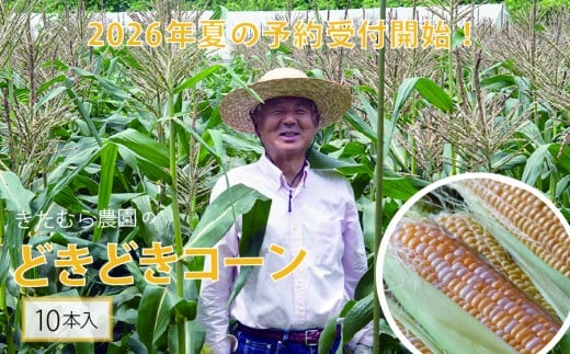 2026年夏の早期予約受付開始！きたむら農園『どきどきコーン』×10本セット（約4～4.2kg相当） 生で食べられる信濃町名産とうもろこし／スイートコーンの定番品種 令和8年7月下旬～8月下旬に出荷予定 【長野県信濃町ふるさと納税】