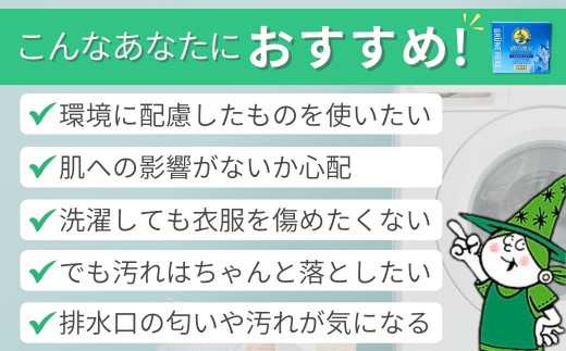 洗濯洗剤 緑の魔女ランドリーパウダー 2kg (1kg×2個) ふるさと納税限定 | 洗濯 洗剤 粉末 粉末洗剤 洗濯粉末洗剤 粉末洗濯洗剤 パウダー 環境配慮 環境にやさしい エコ やさしい 衣類 