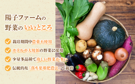 ＜6ヵ月定期便＞旬の野菜詰め合わせ 11～12種 |野菜セット 詰め合わせ 定期便