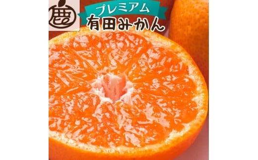 【先行予約】プレミアム有田みかん 2.5kg+250g（傷み補償分）11月より発送(完熟)【光センサー選果】※北海道・沖縄・離島配送不可 / みかん ミカン 蜜柑 フルーツ 果物 柑橘 有田みかん 有田【ikd005C】