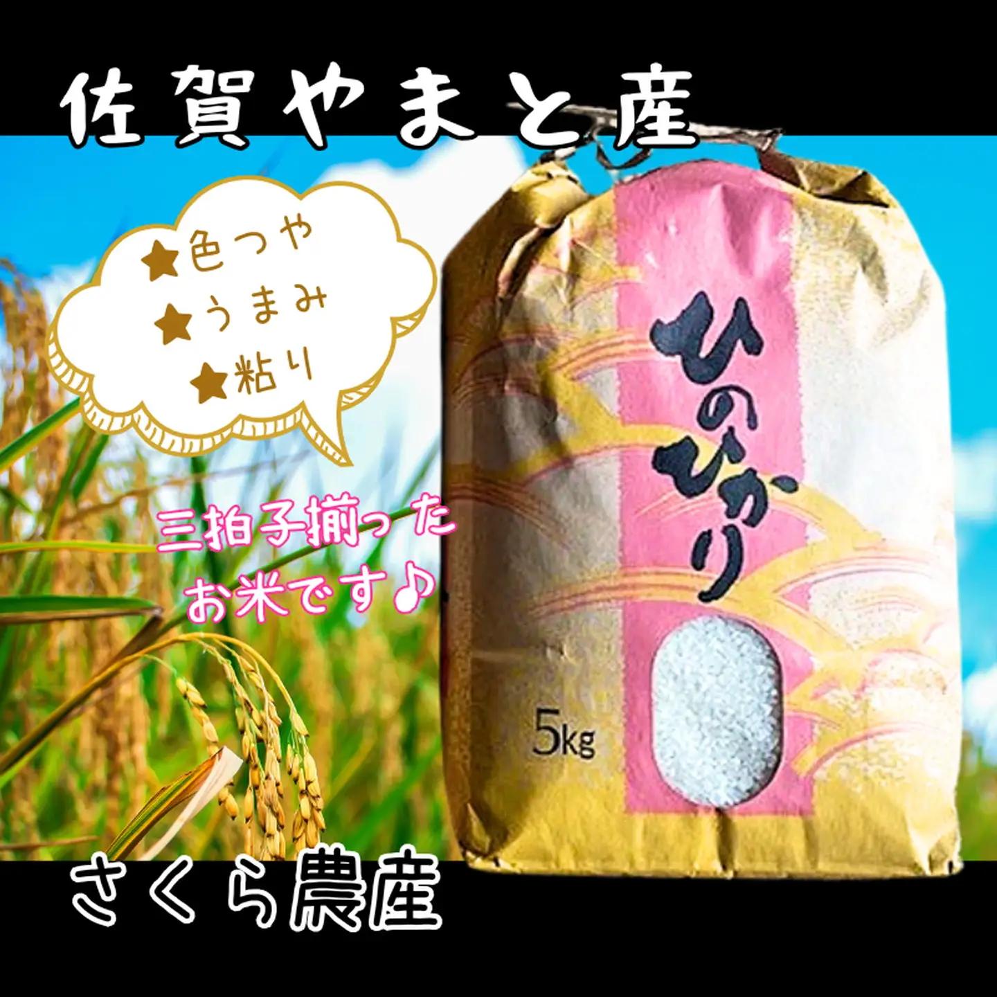 佐賀県大和産「ひのひかり」5kg 米 農家直送：B170-034
