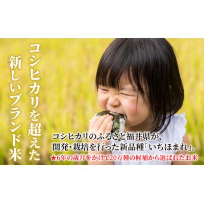 ふるさと納税 大野市 【令和7年産】福井県産 いちほまれ(白米)5kg |  | 02
