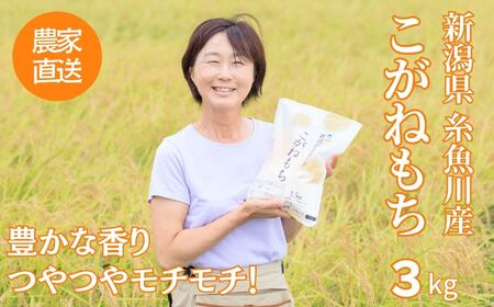 新米 新潟県産 もち米『こがねもち』3kg（2升）令和6年産 つやつやモチモチ もち米ならではの芳醇な香り 清耕園ファーム 【餅 赤飯 おこわ ご飯 ライス ふるさと納税 米 ブランド米】【もち こがねもち もち米 こがねもち もち米 こがねもち もち米 こがねもち もち米 こがねもち もち米 こがねもち もち米 こがねもち もち米 こがねもち もち米 こがねもち もち米 こがねもち もち米 こがねもち もち米 こがねもち もち米 こがねもち もち米 こがねもち もち米 こがねもち もち米 こがねもち もち