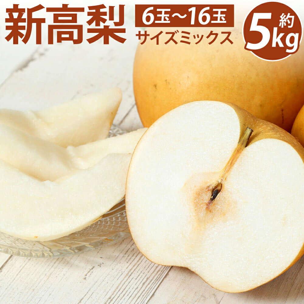 【ふるさと納税】 【先行予約】 熊本県産 新高梨 サイズミックス 約5kg 6玉～16玉 梨 ナシ 熊本県 八代市 果物 フルーツ 旬 送料無料 【2025年9月上旬より順次発送】