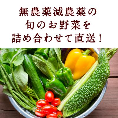 ふるさと納税 うきは市 【月イチ定期便】UIC 名水うきはの無農薬減農薬お野菜セット (ひと月1箱×半年間=計6回) |  | 03