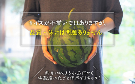 【先行予約】【訳あり】小玉すいか 2玉 坂井市産【2026年7月以降順次発送予定】 [A-3222]