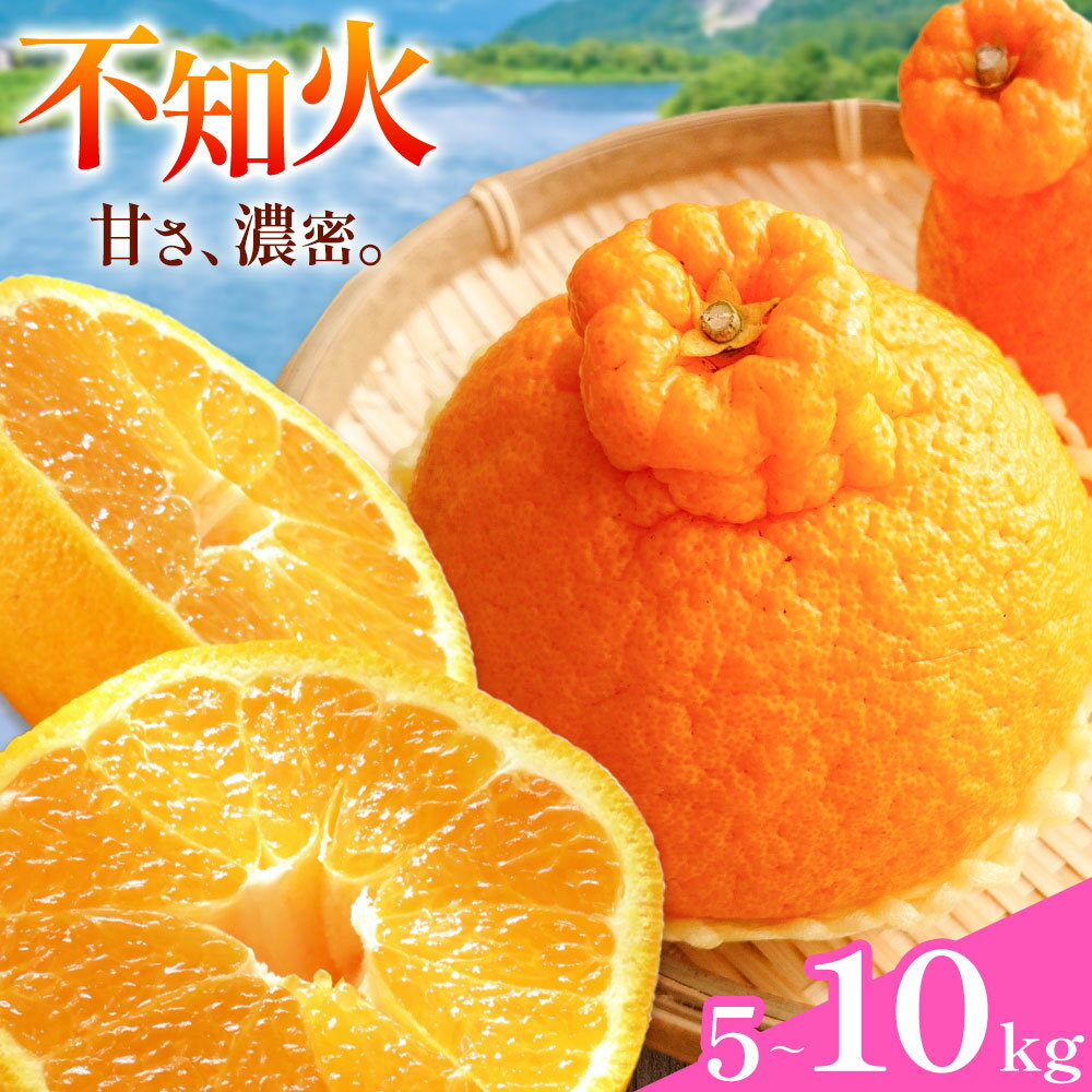 【ふるさと納税】 不知火 秀品・優品混合/サイズ混合 選べる 5kg 10kg 中畑農園《2026年1月下旬-2月末頃出荷》 和歌山県 日高川町 不知火 みかん ミカン 蜜柑 椪柑 フルーツ 果物 柑橘