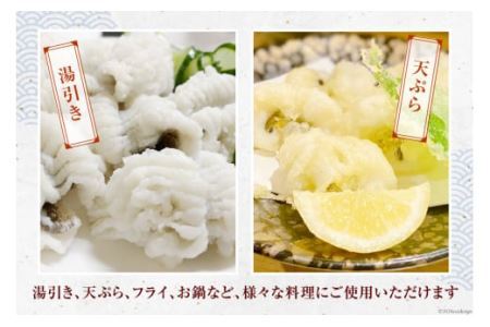 鱧 ( ハモ ) 切り身 1.2kg