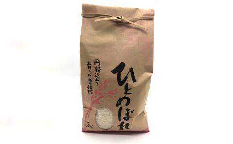 《先行予約》山形県産米 ひとめぼれ 5kg 精米 米 お米 おこめ 山形県 新庄市 F3S-1707