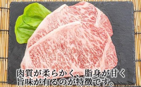 肉 牛肉 国産 黒毛 和牛 サーロイン ステーキ 400g 希少 幻の大川黒毛和牛 高知県 須崎市