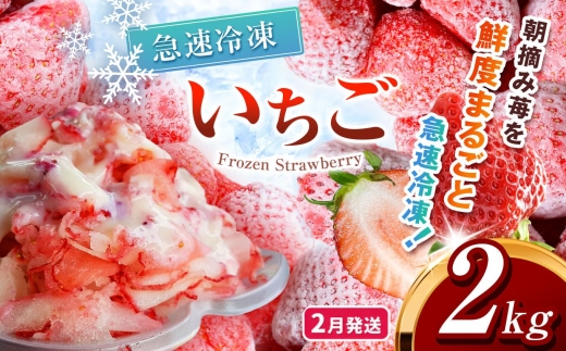 【先行予約】【2月発送】冷凍 いちご とちあいか 2kg カット済み | 2027年発送 いちご 冷凍 ヘタ取り 苺 冷凍いちご 冷凍イチゴ 冷凍苺 果物 デザート フルーツ スイーツ アイス ジャム シャーベット ストロベリー 氷菓 冷凍 甘い オススメ 人気 真岡市 ウッドベルファーム 栃木 苺 栃木いちご イチゴ 真岡いちご 産地直送 新鮮 農家直送 送料無料