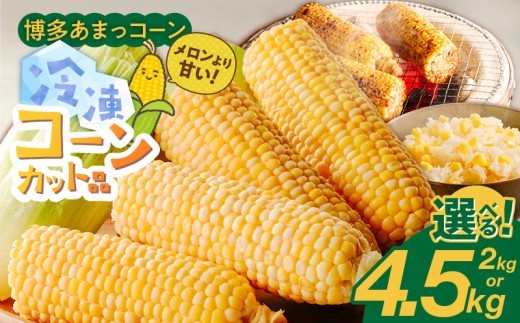 
                  冷凍便！旬の時期に冷凍したSDGs米糠堆肥で作った博多あまっコーンカット品 _ 博多あまっコーン カット 選べる 内容量 2kg以上 4.5kg以上 カット品 とうもろこし 国産 冷凍 メロンより甘い プレミアムコーン ふくおかエコ農産物 コーン フルーツのような甘さ 野菜 酒見農産 お取り寄せ 福岡県 久留米市 送料無料 _Gv051-sku
                