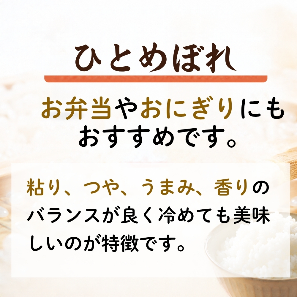 【先行予約】【新米】【令和8年10月中旬～下旬順次発送】 