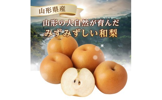 《先行受付》★山形産和梨（品種お任せ）★約3kg(6～12玉程度)秀品【2026年9月頃～順次発送予定】